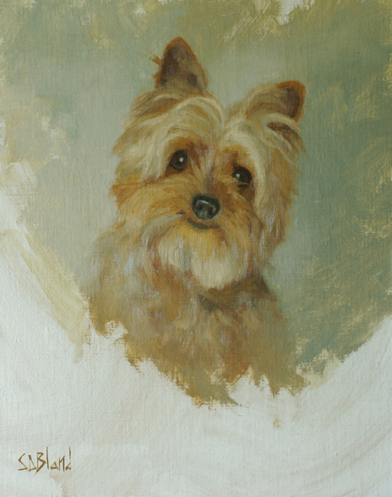 An oil painting of a small wire haired Yorkshire terrier painted against a greenish raw umber background.