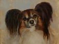 An oil painting of papilion dog Buddy.