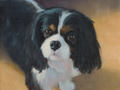 Oil portrait of a King Charles spaniel