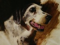 Oil painting of Molly which was done posthumously from the customer's own photographs.