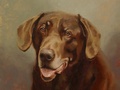 An oil painting of a chocolate lab, Phish.
