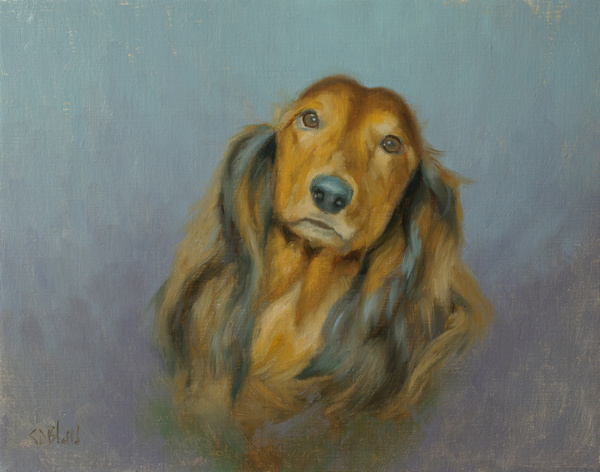 An head-on oil portrait of a long haired Dachshund dog with a soft lilac, gradated background.