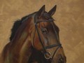 Oil painting of horse Jake