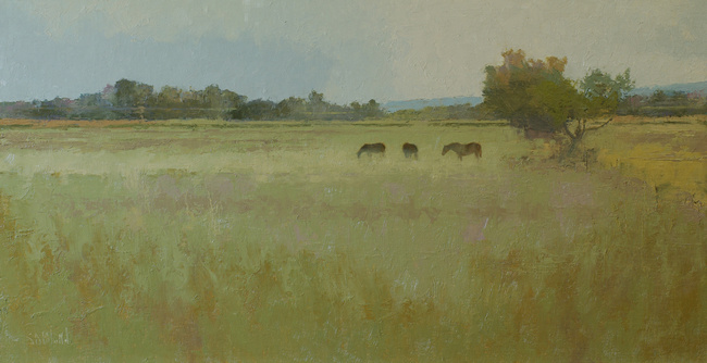 This wide-format landscape features horses grazing in an open field.