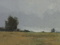 A small studio landscape painting done as a combination of several studies.