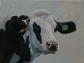 Painting by Simon Bland sold: Oil painting, portrait of 798, holstein cow.