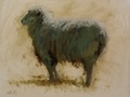 Oil painting of a ram at Willow Hawk Farm in Lovettsville, VA