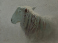 An oil painting of a sheep set in a diffuse gray light by artist Simon Bland