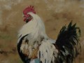 Oil painting of a rooster
