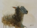 Painting by Simon Bland: Oil painting of a sheep