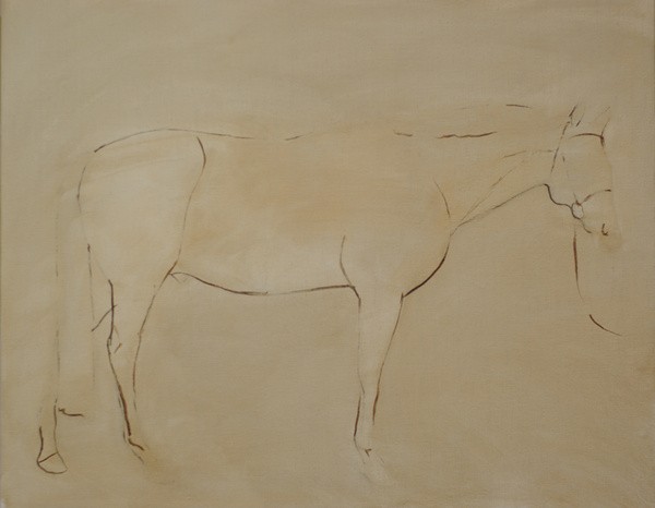 Initial layout for the conformation portrait of a horse