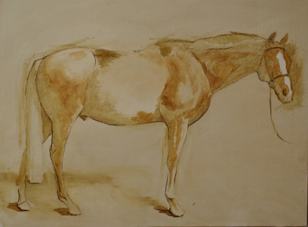 Block-in for a conformation portrait of a horse