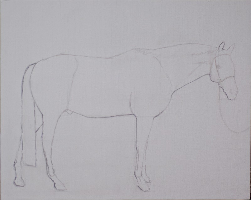 Layout for a conformation portrait of a horse