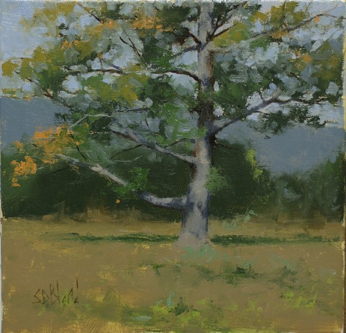 This oil sketch features a solitary tree with fall foliage