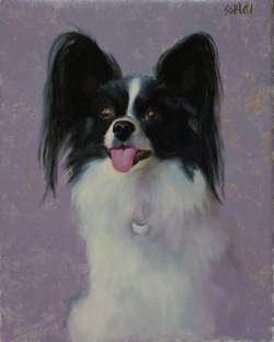 A portrait of a papilion dog with lilac background