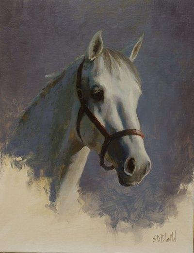 A sketch portrait of a gray horse