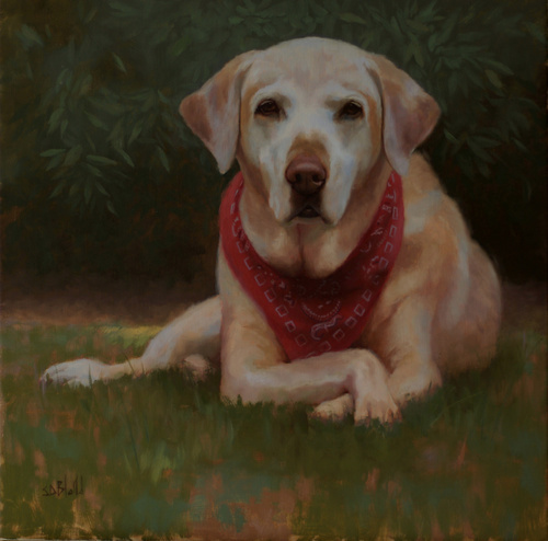 A portrait of a yellow lab laying in grass