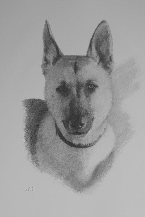 A Portrait in Pencil