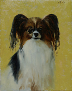 A portrait of a papilion dog with yellow background