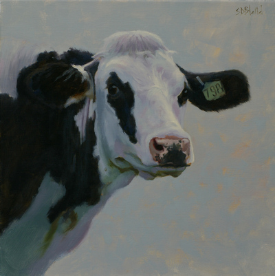 Portrait of a Holstein cow with blue green background