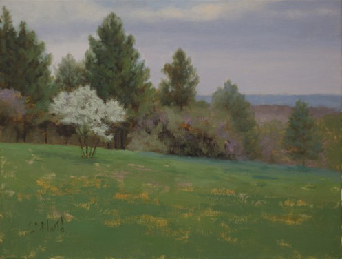 Plein air painting featuring a Russian olive tree, pines and an open grassy field.