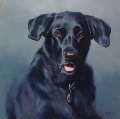 A portrait of a black lab with blue-gray background