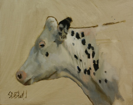 A portrait of a white holstein heifer in oil