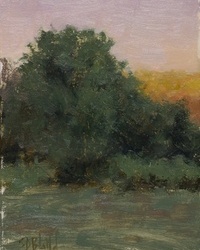 Study of a tree with warm sky, cool foliage