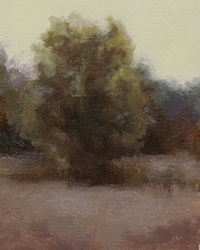 Study of a tree with yellow sky and dark foliage