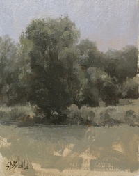 Study of a tree with grayed out palette