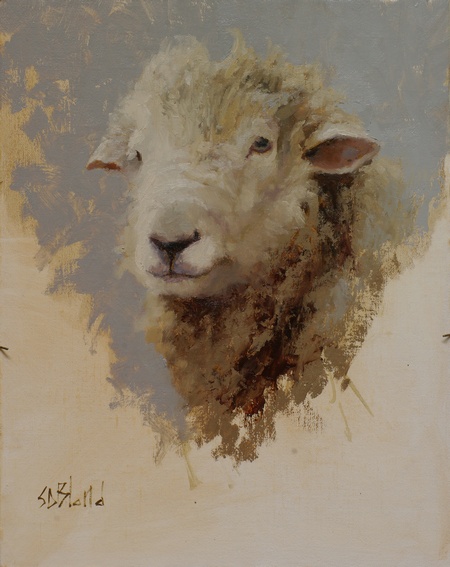 A portrait of a polled ram with abstract partially unfinished gray background