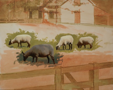 Clune Forest Sheep - Work in Progress