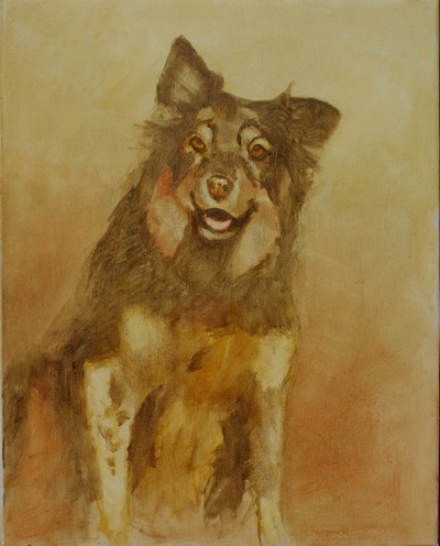 The block in for a portrait of an Australian shepherd dog