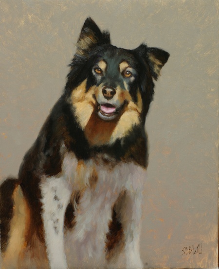 A portrait of a shepherd dog - WIP