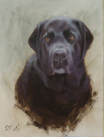 An oil portrait of a black lab done in a vignette style. The background is partially unfinished.