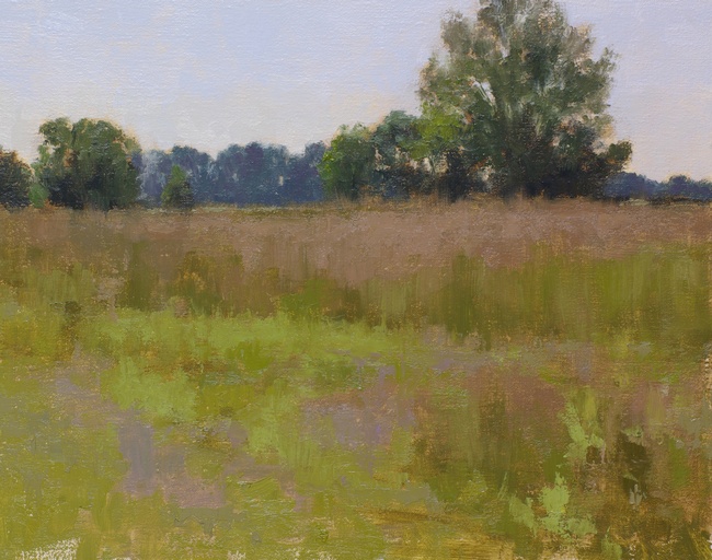 A landscape painting of meadows with different grass textures, variation of foreground colors, a prominent tree and distant violet treeline.