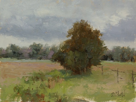 Plein air painting of a single tree in the middle of a field. The painting also features a distant treeline and cloudy sky.