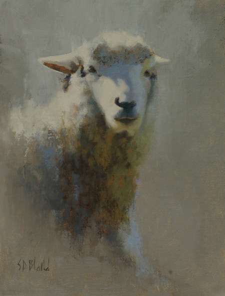 Painting a Sheep