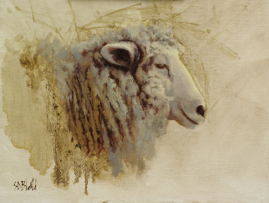 Sheep Sketch 4