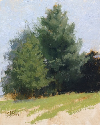 A plein air painting of pine trees on a hillside at Silverbrook Farm. The foreground grass is painted very loosely.