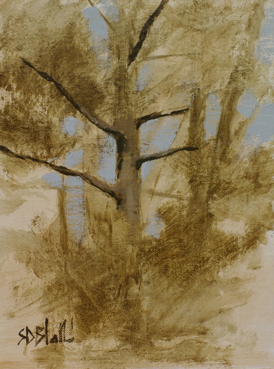 Plein air sketch of a pine tree