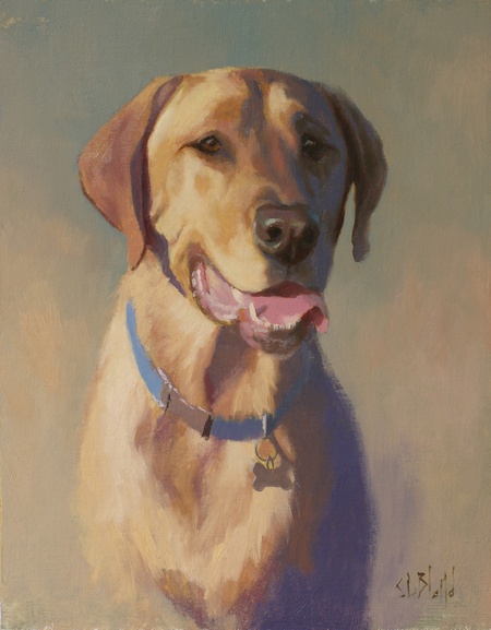 Sketch portrait of a yellow lab