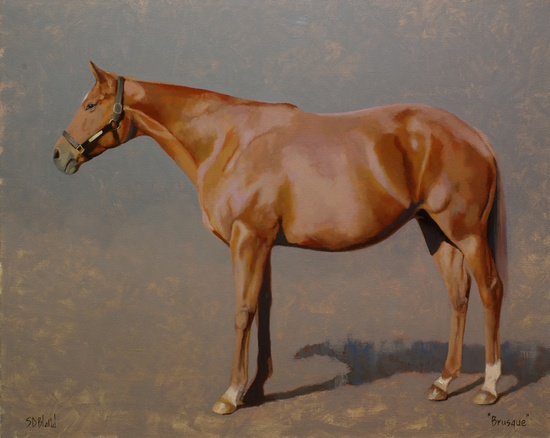 A conformation portrait of a brood mare horse