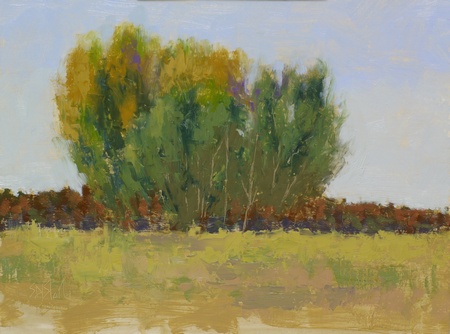 Plein air painting of cottonwood trees at Great Country Farms