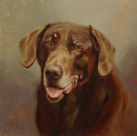 Portrait of a chocolate lab called Phish