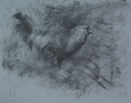 A charcoal study for the portrait of a rooster