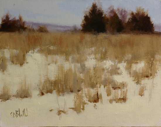 A landscape of cedar trees in a snow-covered field with dry yellow grass showing through