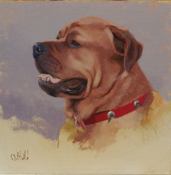 A portrait of a mastiff