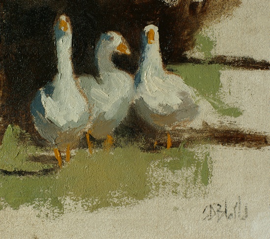 Study of geese