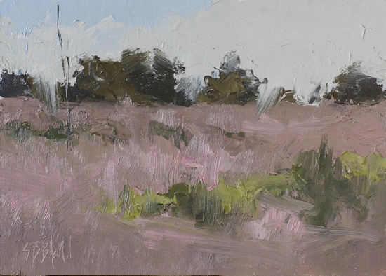 Study of fields in late summer